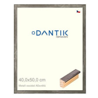 DANTIK rámeček 40 × 50, Metalli oidati AGsvětlý sklo čiré