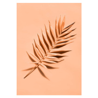 Umělecká fotografie Palm leaf close up, lenta, (30 x 40 cm)