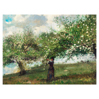 Obrazová reprodukce Girl Picking Apple Blossoms (Apple Orchard Harvest) - Winslow Homer, (40 x 3