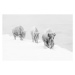 Fotografie Three bison covered in hoarfrost, jared lloyd, 40x26.7 cm