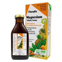 Salus Floradix Magnesium 250 ml
