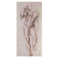 Obrazová reprodukce Sketch of David with his Sling, 1503-4, Michelangelo Buonarroti, 23.3x50 cm