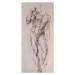 Obrazová reprodukce Sketch of David with his Sling, 1503-4, Michelangelo Buonarroti, 23.3 × 50 c