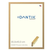 DANTIK rámeček 30 × 40, KASSETTE jasan malý plexi čiré