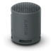 Sony SRS-XB100 Přenosný bezdrátový reproduktor, černá