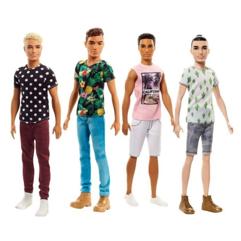 Barbie Model Ken, mix druhů Mattel