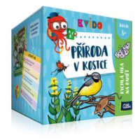 Kvído -  Příroda v kostce