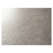Beaulieu International Group PVC podlaha Livitex 2620 - Rozměr na míru cm