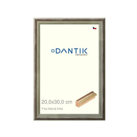 DANTIK rámeček 20 × 30, Y-ka fialový linka sklo čiré