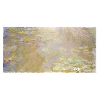 Monet, Claude - Obrazová reprodukce Lekníny, (40 x 20 cm)