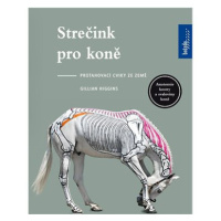 Strečink pro koně: Protahovací cviky ze země