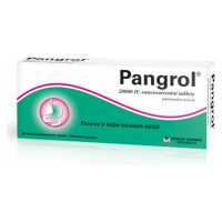 PANGROL 20000  20 tablet