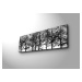 Wallity Obraz s LED osvětlením VĚTVE STROMŮ 72 30 x 90 cm