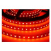 Cama LED osvětlení k obývací stěně VIGO NEW 4 Barva: červená