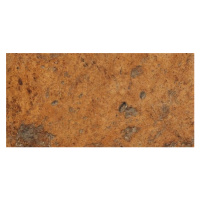 Dlažba Cir Cotto del Campiano cotto dorato 10x20 cm mat 1080478