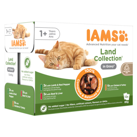 IAMS Advanced Nutrition Adult Land Mix - 48 x 85 g v omáčce