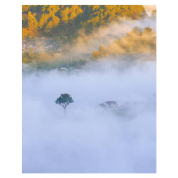 Umělecká fotografie lonely tree in the fog with, Khanh Bui, (30 x 40 cm)