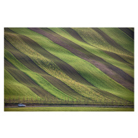 Fotografie Stripes in the fields, Peter Svoboda MQEP, 40x26.7 cm