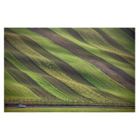 Fotografie Stripes in the fields, Peter Svoboda MQEP, 40 × 26.7 cm