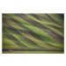 Fotografie Stripes in the fields, Peter Svoboda MQEP, 40 × 26.7 cm