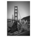 Fotografie San Francisco Golden Gate Bridge, Melanie Viola, (26.7 x 40 cm)