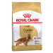 Royal Canin Cocker Adult - Výhodné balení 2 x 12 kg