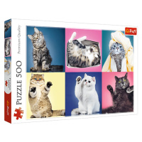 Trefl Puzzle 500 Koťata