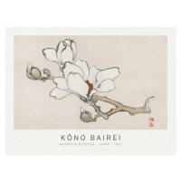 Obrazová reprodukce Magnolia Blossom (Special Edition Japandi) - Kōno Bairei, 40x30 cm
