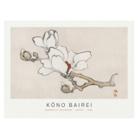 Obrazová reprodukce Magnolia Blossom (Special Edition Japandi) - Kōno Bairei, 40 × 30 cm