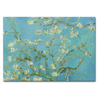Nástěnná reprodukce na plátně Vincent Van Gogh Almond Blossom, 100 x 70 cm