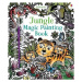 Jungle Magic Painting Book - Sam Taplin, Federica Iossa (ilustrátor) - kniha z kategorie Pro dět