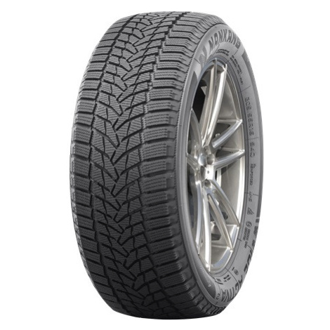 NANKANG 215/65 R 17 103T ICE_ACTIVA_ICE_2 TL XL M+S 3PMSF