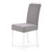 Jídelní židle CLORAUN šedá/bílá