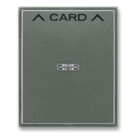 ABB Time, Time Arbo kryt kartového spínače antracitová 3559E-A00700 34 s průzorem