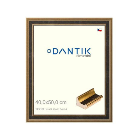 DANTIK rámeček 40 × 50, TOOTH malý zlato černý sklo čiré