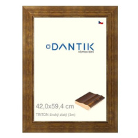 DANTIK rámeček 42 × 59,4, TRITON široký zlatý plexi čiré