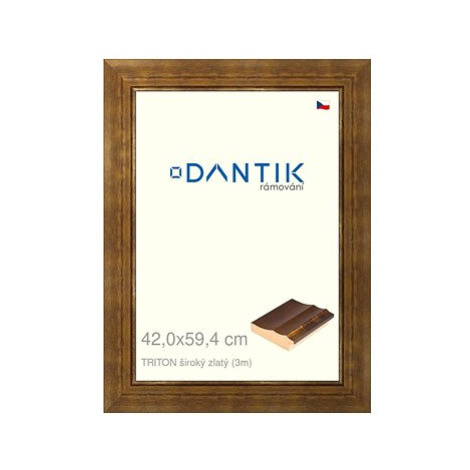 DANTIK rámeček 42 × 59,4, TRITON široký zlatý plexi čiré