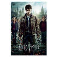 Plakát, Obraz - Harry Potter - Relikvie smrti, (61 x 91.5 cm)