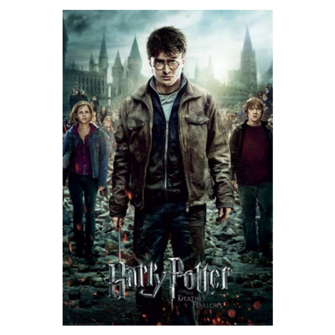 Plakát, Obraz - Harry Potter - Relikvie smrti, (61 x 91.5 cm) GB Eye
