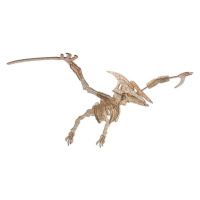 Woodcraft Dřevěné 3D puzzle Pterosaur