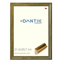 DANTIK rámeček 21 × 29,7, ANIVERSA piccola zlatý sklo čiré