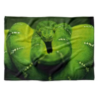 IMPAR Fleecová deka Zelený had, 150 × 120 cm