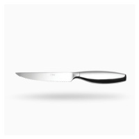 Steakový nůž s dutou rukojetí 23,5cm - lesklý – Touch me