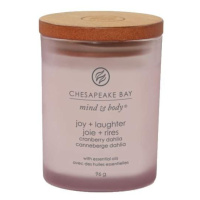Svíčka Chesapeake Bay Joy & Laughter 105g