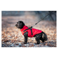 Vsepropejska Diamant zimní bunda pro psa s postrojem Barva: Červená, Délka zad (cm): 22, Obvod h