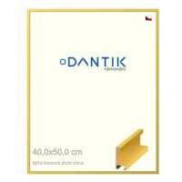 DANTIK rámeček 40 × 50, ALU profil 6035 Dýha barevný žlutý citrus sklo čiré