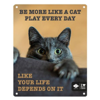 Ebi D&D I LOVE HAPPY CATS kovová tabulka: ,,Be more like a cat play every day” 20