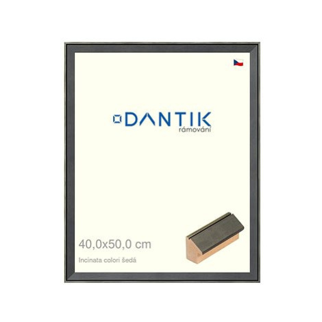 DANTIK rámeček 40 × 50, INCLINATA colori šedý plexi čiré