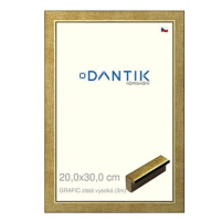 DANTIK rámeček 20 × 30, GRAFIC zlatý vysoký sklo čiré