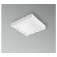 CENTURY LED stropní a nástěnné svítidlo PL-QUADRO 220x220X38mm 18W 3000K 120d IP20